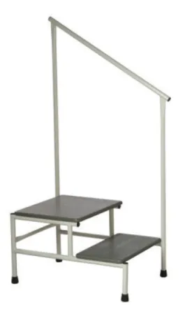 Access 2 Step Stool with Hand Rail