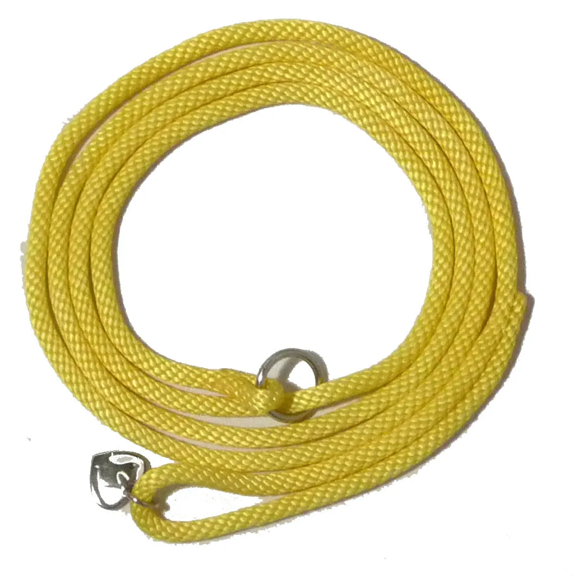 Slip Leads Shoestring 72"
