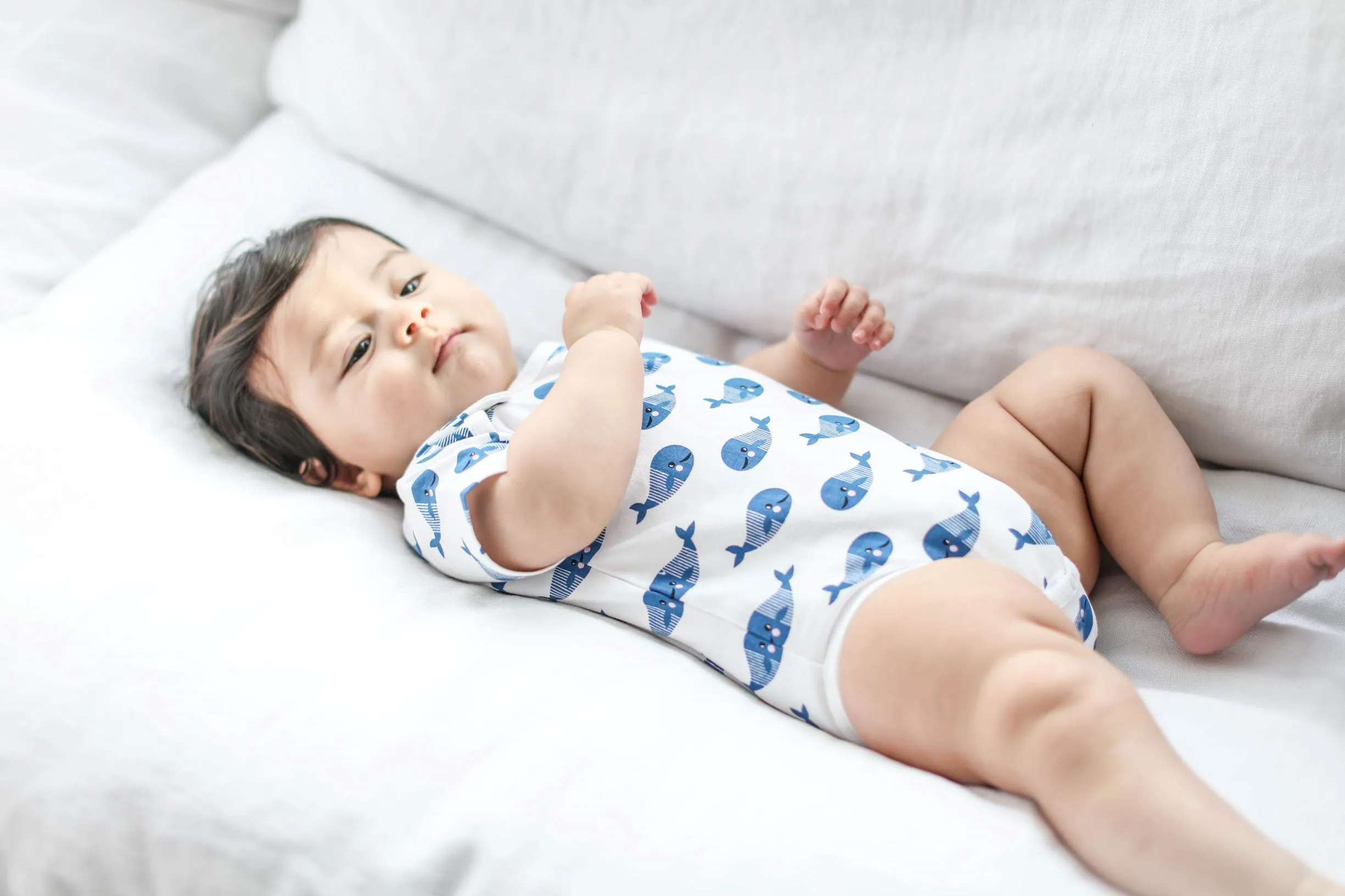 Smart Short Sleeve Baby Bodysuit   Bib - Blue Whale