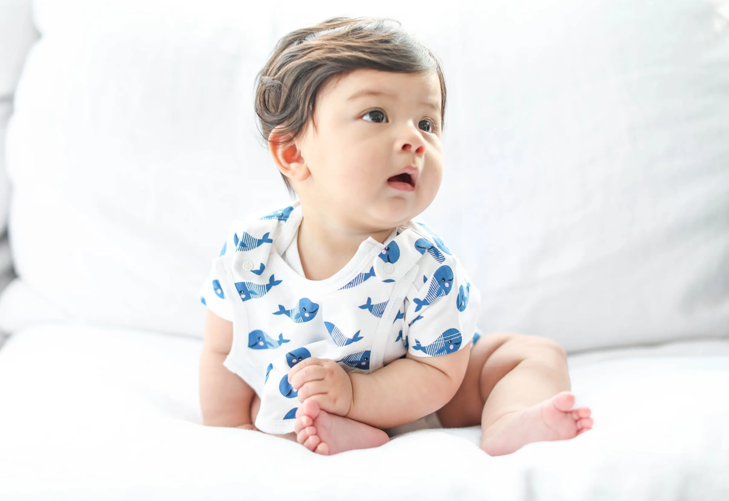 Smart Short Sleeve Baby Bodysuit   Bib - Blue Whale